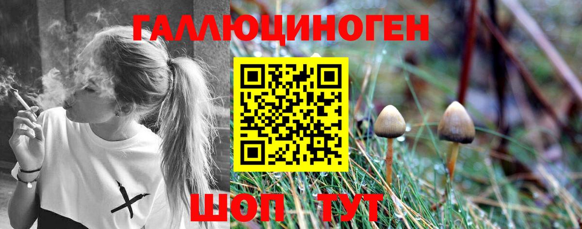 Псилоцибиновые грибы MAGIC MUSHROOMS Белгород
